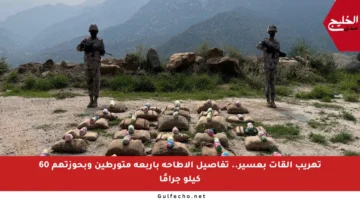 تهريب القات بعسير.. تفاصيل الإطاحة بأربعة متورطين وبحوزتهم 60 كيلو جرامًا